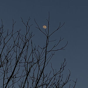 Meet your Posher, Leah mccullough